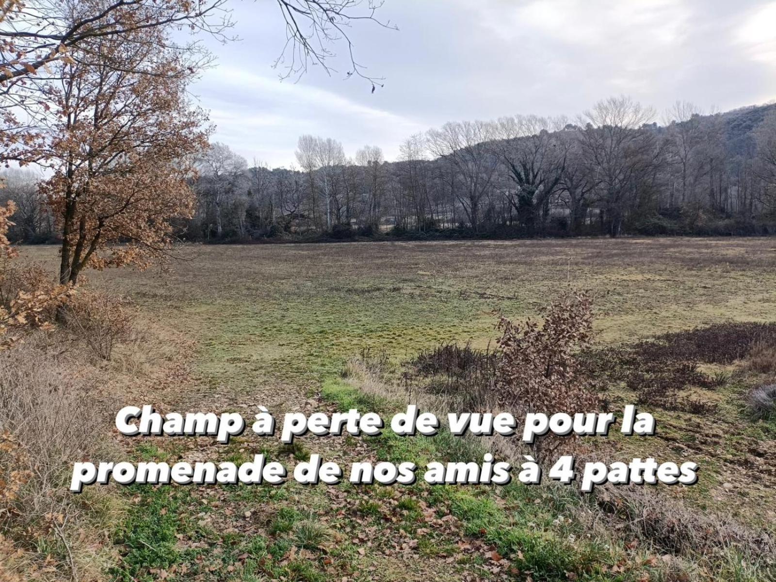 Gite Avec Terrasse Privee Proche Des Gorges Du Verdon Алман ан Прованс Екстериор снимка